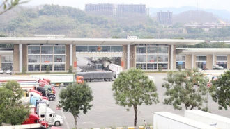 Lào Cai: Thu ngân sách 2 tháng đầu năm 2026 đạt hơn 3.338 tỷ đồng