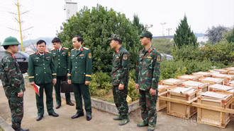 Thủ trưởng Bộ CHQS tỉnh kiểm tra công tác chuẩn bị bắn pháo hoa đêm Giao thừa