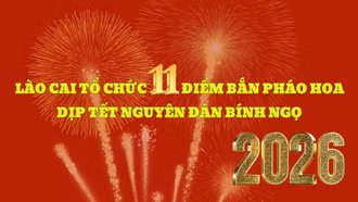 Lào Cai tổ chức 11 điểm bắn pháo hoa dịp Tết Nguyên đán Bính Ngọ 2026