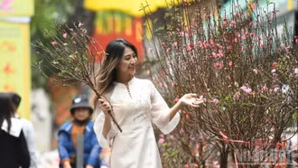 Bức tranh tươi sáng của du lịch Việt Nam năm 2026