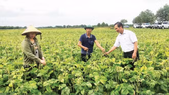 Vai trò khuyến nông trong mô hình chính quyền mới