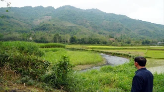 Bên dòng suối Hán