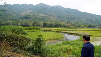 Bên dòng suối Hán