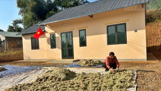 Sinh kế từ rừng giúp phụ nữ Mông ở Mà Mù Sử 1 ổn định cuộc sống