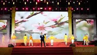 Đặc sắc chương trình nghệ thuật chào mừng Lễ hội đền Cô Tân An năm 2026