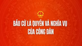 Infographic: Quyền và nghĩa vụ của công dân trong bầu cử Quốc hội và HĐND nhiệm kỳ 2026 - 2031