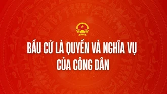 Infographic: Quyền và nghĩa vụ của công dân trong bầu cử Quốc hội và HĐND nhiệm kỳ 2026 - 2031