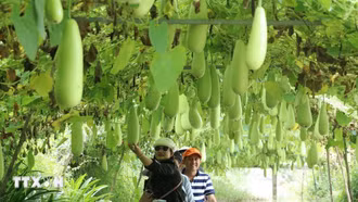 Du lịch nông nghiệp, nông thôn - Xu hướng đang được ưa chuộng