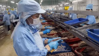 Ngân hàng Thế giới: Tăng trưởng kinh tế của Việt Nam vẫn vững vàng