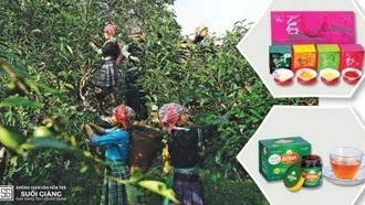 Mô hình liên kết OCOP vùng giữa Lào Cai - Yên Bái : Nâng tầm thương hiệu địa phương