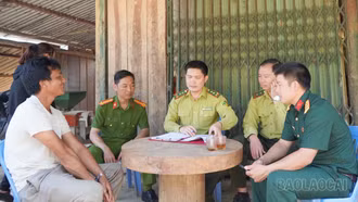 Lào Cai tăng cường kiểm tra, chủ động phòng cháy, chữa cháy rừng mùa khô 2026