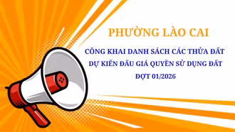 Phường Lào Cai công khai danh sách các thửa đất dự kiến đấu giá quyền sử dụng đất đợt 01/2026
