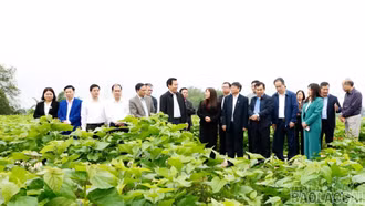 Khảo sát mô hình “Xã xã hội chủ nghĩa” tại xã Trấn Yên