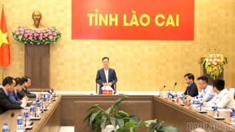 Lào Cai quyết tâm hoàn thành mục tiêu thu ngân sách từ quỹ đất năm 2026