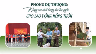 Phong Dụ Thượng: Nâng cao chất lượng đào tạo nghề cho lao động nông thôn
