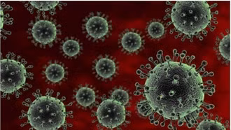 Virus RSV bùng phát nghiêm trọng tại Thái Lan