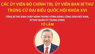 Các Ủy viên Bộ Chính trị, Ủy viên Ban Bí thư trúng cử đại biểu Quốc hội khóa XVI