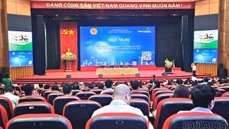 Phổ biến chính sách thuế mới năm 2026 cho hơn 600 hộ kinh doanh