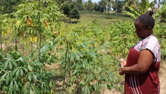 Kenya nghiên cứu mối liên hệ giữa biến đổi khí hậu và sức khỏe tinh thần