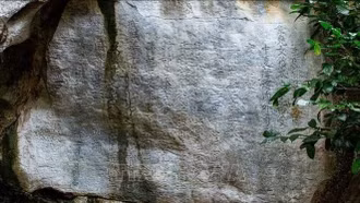 Công nhận 30 bảo vật quốc gia