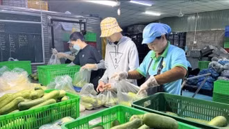 Thưởng Tết Bính Ngọ 2026 tăng hơn năm ngoái dù kinh tế nhiều biến động