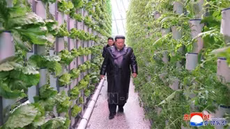 Triều Tiên tăng cường triển khai chính sách phát triển khu vực