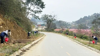 Khát vọng đánh thức tiềm năng du lịch Si Ma Cai từ hoa anh đào