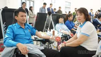 Trấn Yên thu được 471 đơn vị máu trong Ngày hội hiến máu tình nguyện