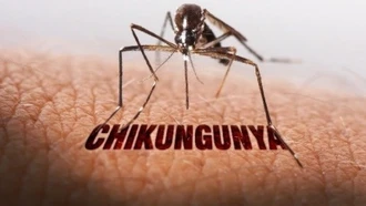 Những điều cần biết về chikungunya: Bệnh do muỗi truyền đang lan rộng toàn cầu