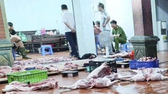 Phát hiện cơ sở giết mổ trái phép, bán lợn nhiễm dịch tả châu Phi