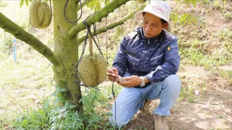 Đẩy mạnh ứng dụng công nghệ vào sản xuất nông nghiệp thông minh