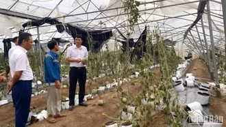 Gỡ vướng về cơ chế, chính sách để giảm áp lực nợ xấu