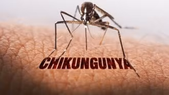WHO cảnh báo nguy cơ lây lan cao của virus Chikungunya