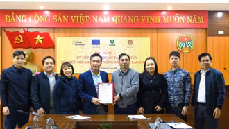 Triển khai sáng kiến nông dược gắn với tri thức bản địa do phụ nữ Dao đỏ dẫn dắt