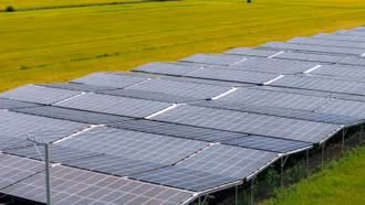 Điện mặt trời nông nghiệp - giải pháp cho năng lượng sạch và sinh kế bền vững