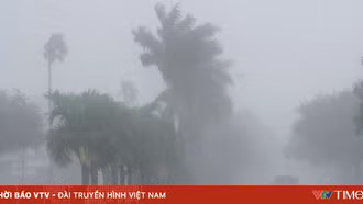 Siêu bão Milton đổ bộ Florida (Mỹ): Mưa lớn 'ngàn năm có một', lốc xoáy thổi bay nhà