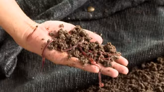 Xu hướng xanh 'biến' bùn thải thành phân bón giúp doanh nghiệp hái ra tiền