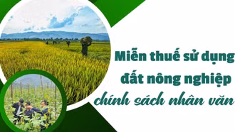 Miễn thuế sử dụng đất nông nghiệp chính sách nhân văn 