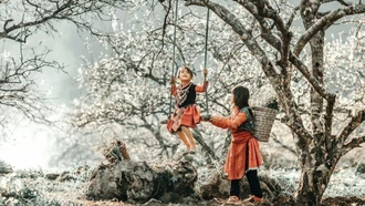 Việt Nam lọt top điểm đến mùa đông lý tưởng nhất