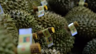 Ra mắt Hệ thống truy xuất nguồn gốc nông sản Việt Nam