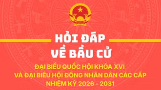 Vận động bầu cử và các hình thức được phép