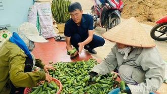 Nông dân văn chấn