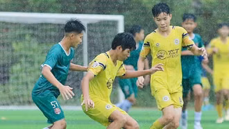 Lịch thi đấu và trực tiếp bóng đá Việt Nam hôm nay 20/12