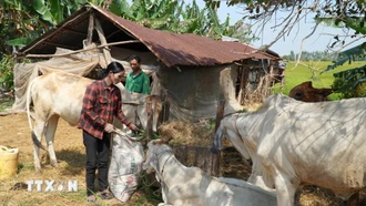 Việt Nam được cộng đồng quốc tế ghi nhận là điểm sáng về giảm nghèo