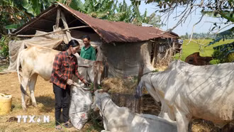 Việt Nam được cộng đồng quốc tế ghi nhận là điểm sáng về giảm nghèo