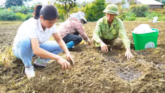 Mường Khương triển khai Dự án hỗ trợ trồng khoai tây, rau cho bà con nông dân
