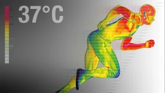 Vì sao nhiệt độ cơ thể bạn luôn là 37 độ C - dù trời giá rét hay nóng bức?