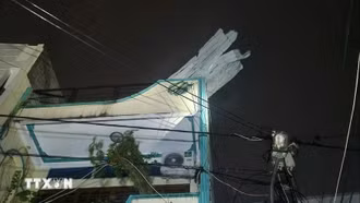 Những thiệt hại ban đầu do bão số 13 gây ra ở Gia Lai, Đắk Lắk, Quảng Ngãi