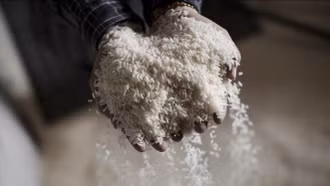 Thách thức ngắn hạn và triển vọng cổ phiếu ngành gạo