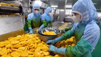 Ngày 1/10 Bộ trưởng Bộ Công Thương sẽ đối thoại trực tiếp với nông dân